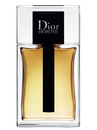 dior homme kaufen|dior homme 2020.